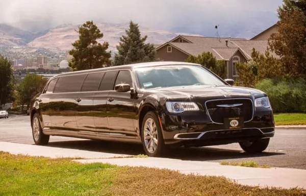 A black stretch limousine parked on a residential street with a mountainous landscape in the background.