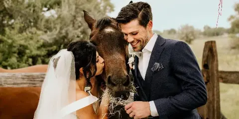 A bride and groom smiling while feeding a horse at a rustic outdoor wedding venue.