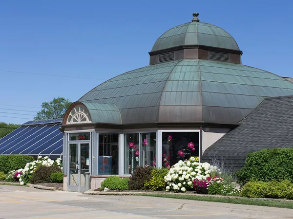 Exterior view of the Viviano Flower Shop storefront with a large green dome and flower displays in the windows.