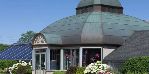 Exterior view of the Viviano Flower Shop storefront with a large green dome and flower displays in the windows.