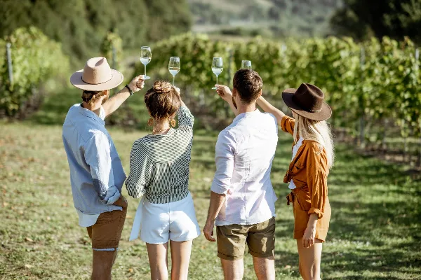 A group of four people standing in a vineyard, raising wine glasses in a toast.