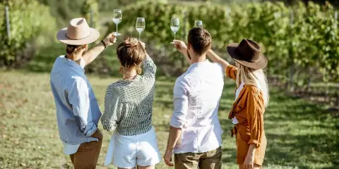 A group of four people standing in a vineyard, raising wine glasses in a toast.