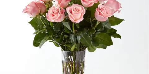 A bouquet of long-stemmed pink roses arranged in a clear glass vase on a white surface.