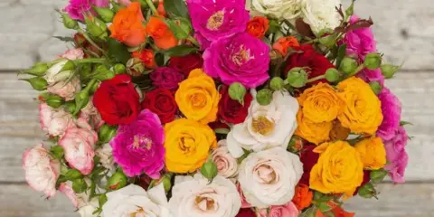 A colorful floral bouquet featuring roses and carnations in shades of pink, red, orange, yellow, and white, arranged on a rustic wooden surface.