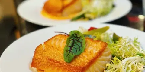 A row of plated meals featuring seared fish and salad garnishes on white plates.