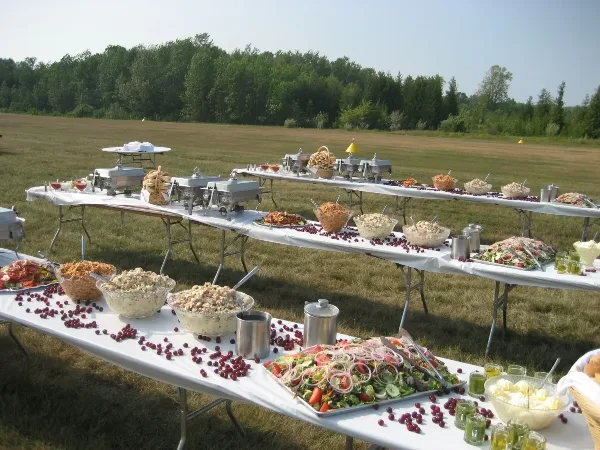 An outdoor catering buffet featuring long tables with chafing dishes, salads, and various food items set up in a grassy field.