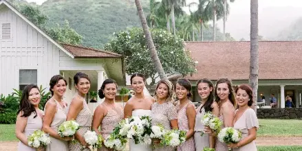 A bride and her bridesmaids posing for a group photo on a lawn with palm trees in the background.
