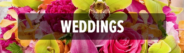 A close-up of a colorful floral arrangement with pink roses and yellow orchids, overlaid with the text 'WEDDINGS'.
