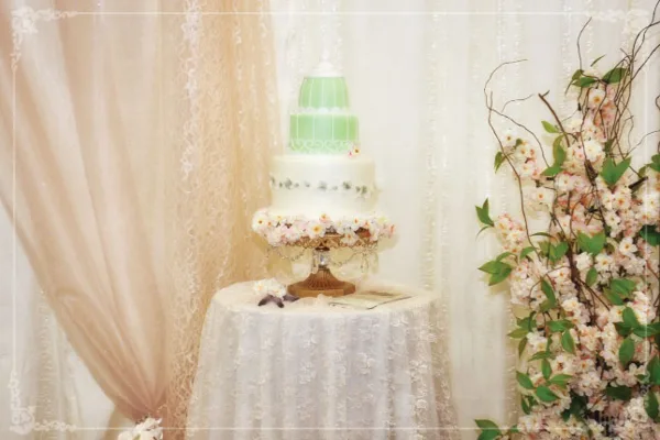 Creative Confections birdcage wedding cake, Montgomery Texas
