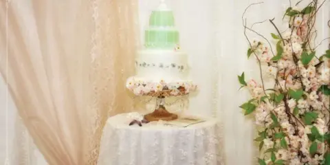 Creative Confections birdcage wedding cake, Montgomery Texas