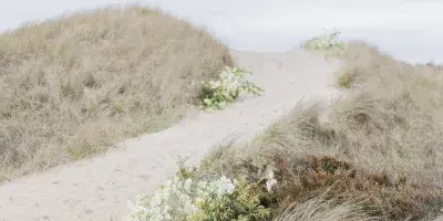 A wedding bouquet with white and yellow flowers resting on a sandy path between dune grass.