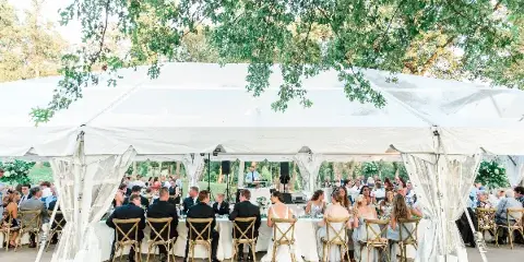 Outdoor wedding reception under a white tent with guests seated at long tables.