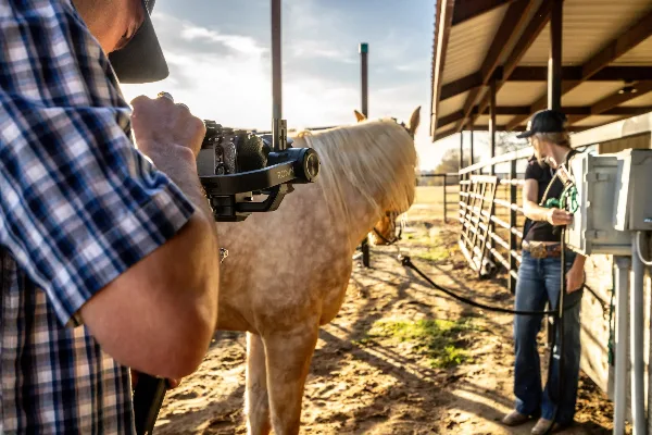 A videographer holding a camera on a gimbal stabilizer filming a horse in a stable setting.
