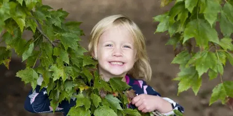 A smiling young girl with blonde hair standing outdoors among green maple leaves.