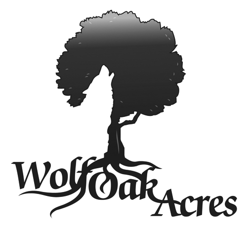 Wolf Oak Acres — barn wedding venue, Oneida, New York