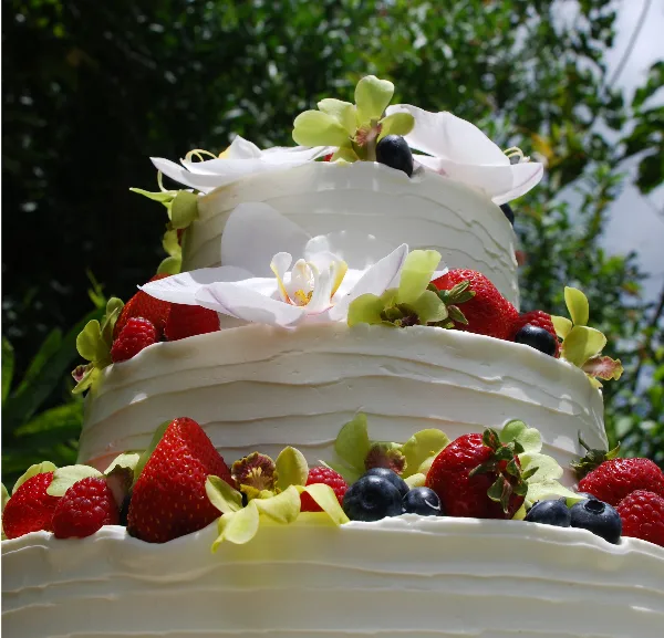 A three-tiered white wedding cake decorated with strawberries, blueberries, and white orchids.