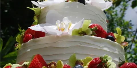 A three-tiered white wedding cake decorated with strawberries, blueberries, and white orchids.
