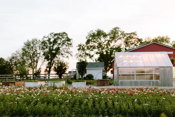 A wide shot of a farm property featuring a field of colorful flowers in the foreground, a glass greenhouse, and a red barn in the background.