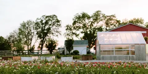 A wide shot of a farm property featuring a field of colorful flowers in the foreground, a glass greenhouse, and a red barn in the background.