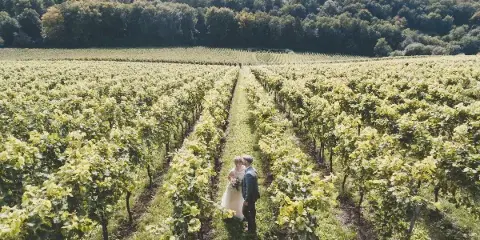 Aerial view of a bride and groom standing together in a vineyard row with forested hills in the background.