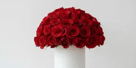 A dome of red roses arranged in a white cylindrical box on a white pedestal.