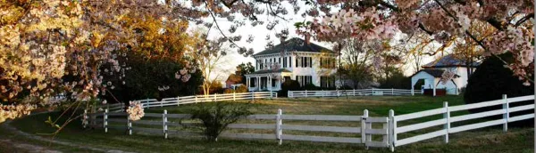 Exterior view of a historic white estate house with a white fence and blooming trees.