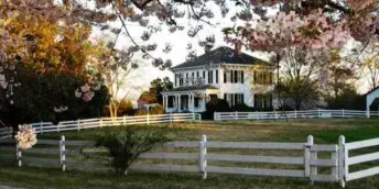 Exterior view of a historic white estate house with a white fence and blooming trees.