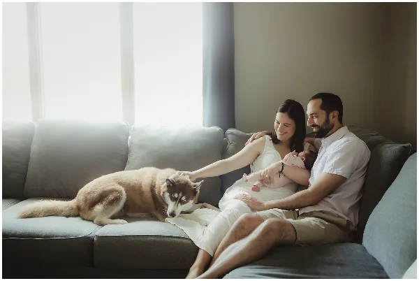 A couple sitting on a grey sofa holding a newborn baby while petting a husky dog.