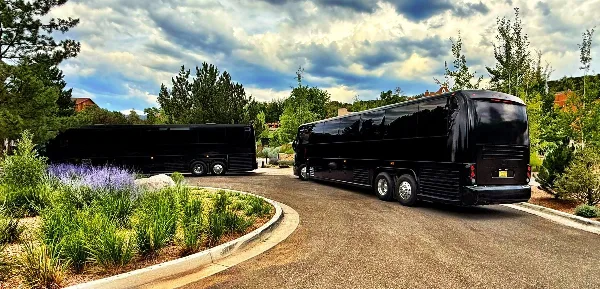Two black luxury motor coaches parked on a paved driveway surrounded by landscaping and trees.