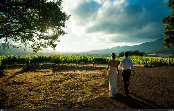 Bride and groom walking through a vineyard with rolling hills and dramatic sky in the background.