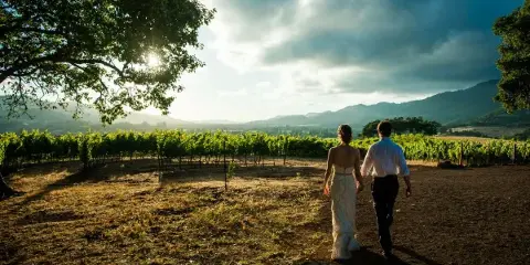 Bride and groom walking through a vineyard with rolling hills and dramatic sky in the background.