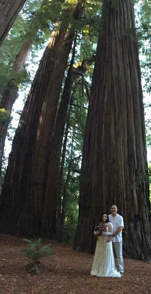 A bride and groom standing together in a redwood forest.