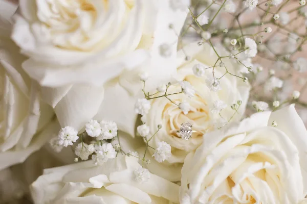 A close-up photograph of a white rose and baby's breath bouquet with a diamond ring resting on the petals.