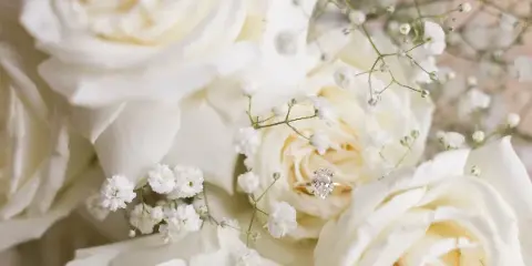 A close-up photograph of a white rose and baby's breath bouquet with a diamond ring resting on the petals.