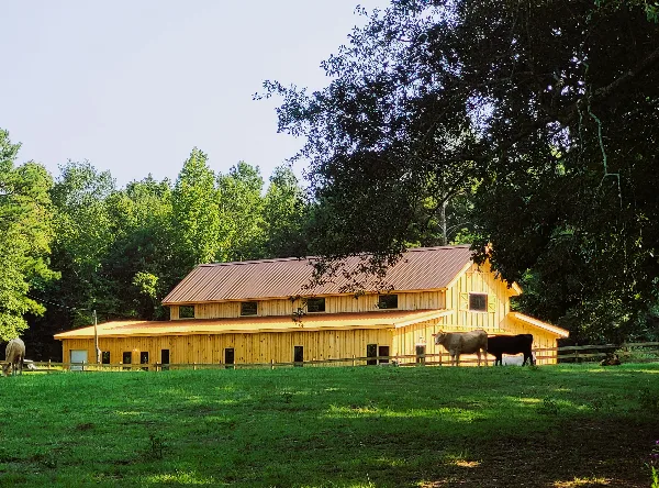 Exterior view of a yellow wooden barn-style building with a metal roof, surrounded by green grass, trees, and cattle.