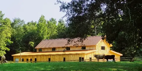 Exterior view of a yellow wooden barn-style building with a metal roof, surrounded by green grass, trees, and cattle.