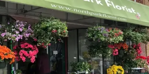 North Park Florist - flower arrangement