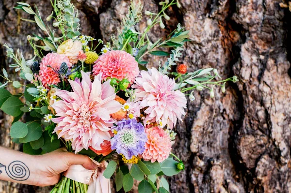 A hand holding a fresh floral bouquet with pink dahlia and greenery against a tree bark background