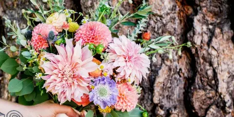 A hand holding a fresh floral bouquet with pink dahlia and greenery against a tree bark background