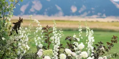 A large outdoor floral arrangement featuring white roses and greenery set against a backdrop of a grassy field and mountains.