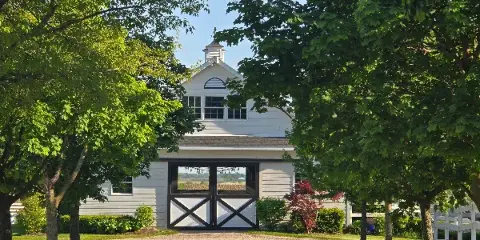 Exterior view of a white barn wedding venue with a cupola, black double doors, and white picket fencing surrounded by green trees.