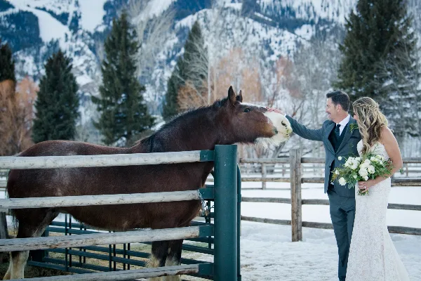 Bride and groom in wedding attire standing beside a horse in a snowy mountain landscape.