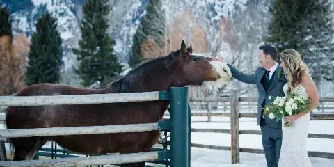Bride and groom in wedding attire standing beside a horse in a snowy mountain landscape.