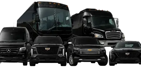 A lineup of black luxury vehicles including a Mercedes Sprinter van, SUVs, and a charter bus.