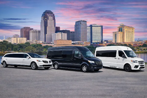A lineup of chauffeured vehicles including a white stretch limousine and two Mercedes Sprinter vans parked in front of a city skyline.