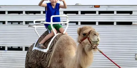 A young boy in a blue shirt and green shorts sits on a camel at a fair, giving a thumbs-up gesture.