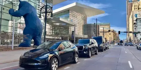 A fleet of black luxury sedans, SUVs, and vans parked along a city street in Denver, Colorado.