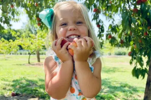 A young girl smiling while holding a peach in an orchard.