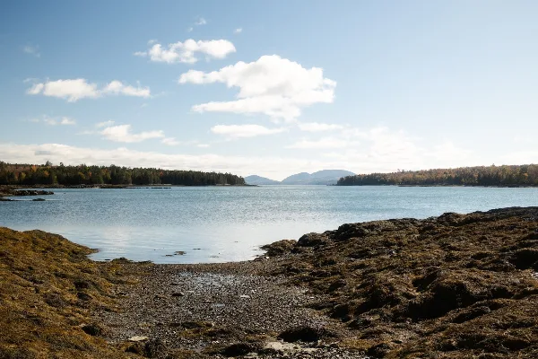 A scenic view of a rocky coastline meeting calm blue water with forested islands in the distance under a partly cloudy sky.