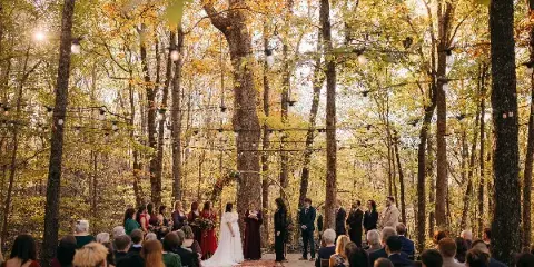 A wedding ceremony in progress in a forest clearing with string lights and an arch.